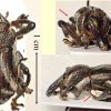 Sternuchopsis triangulifer (Kirsch, 1875)